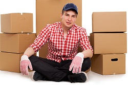 Willesden Removal Company
